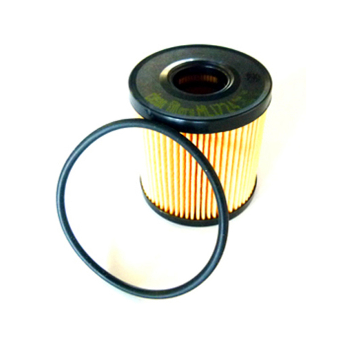 Filtro olio Fiat Ducato 100 Multijet Typ 250 2,2