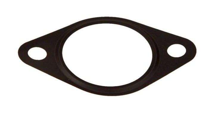 EGR Dichtung