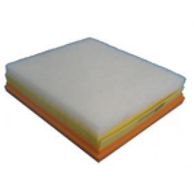 Filtre à air DV5RD