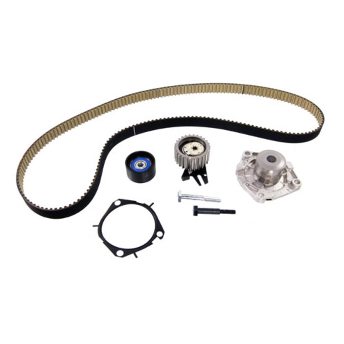 Zahnriemensatz mit Wasserpumpe DAYCO Fiat 500L X Punto Idea 1,6 16 MJTD