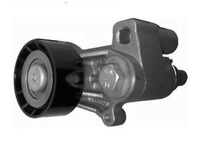 Rullo tenditore DW8