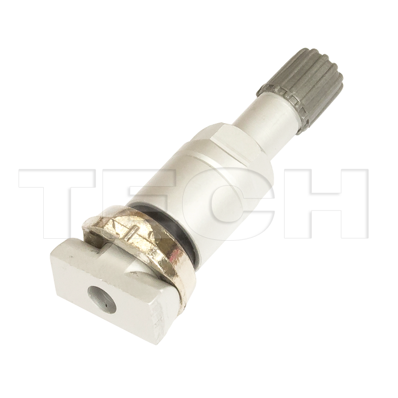 Valvola Schrader Gen Gamma