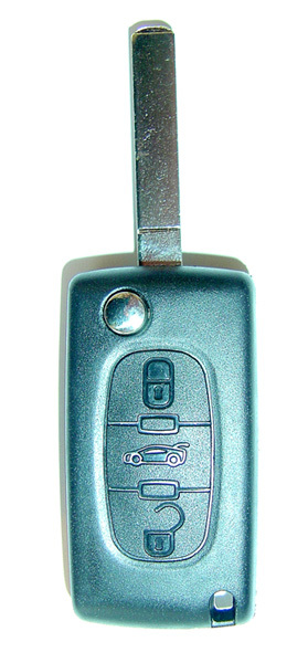 Telecommando incluso circuito elettrico 3 tasti con portellone, supporto della batteria sul circuito elettric