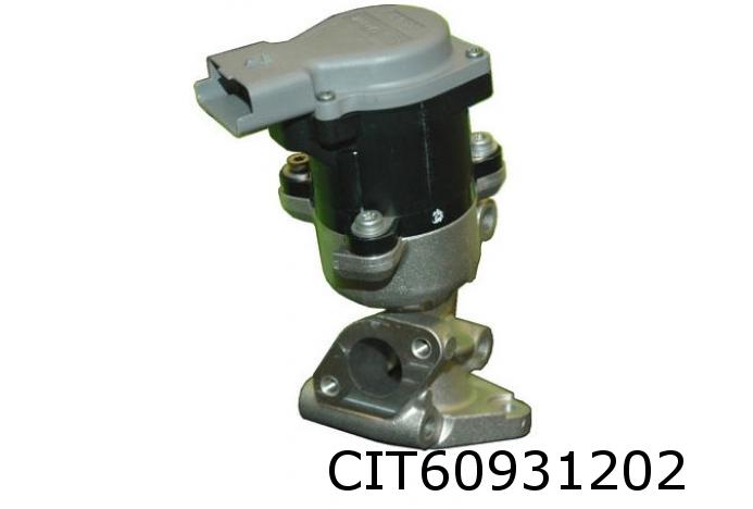 EGR Valve