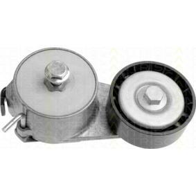 Flachriemenspannrolle mit Spanarm Fiat Punto Stilo 500 Bravo ab Bj,2007