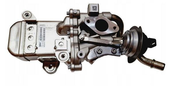 ABGAS-RÜCKFÜHRUNGSVENTIL (EGR)