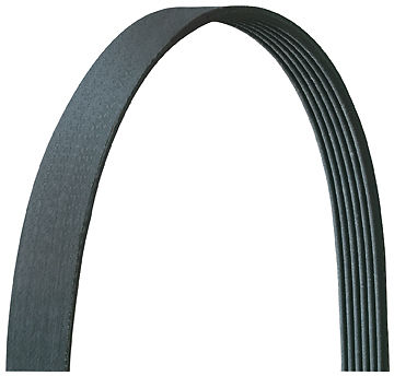 Courroie PolyV ZX, Xsara, Xantia, Evasion, Berlingo, Jumper